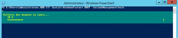 DHCP : installation en cours...