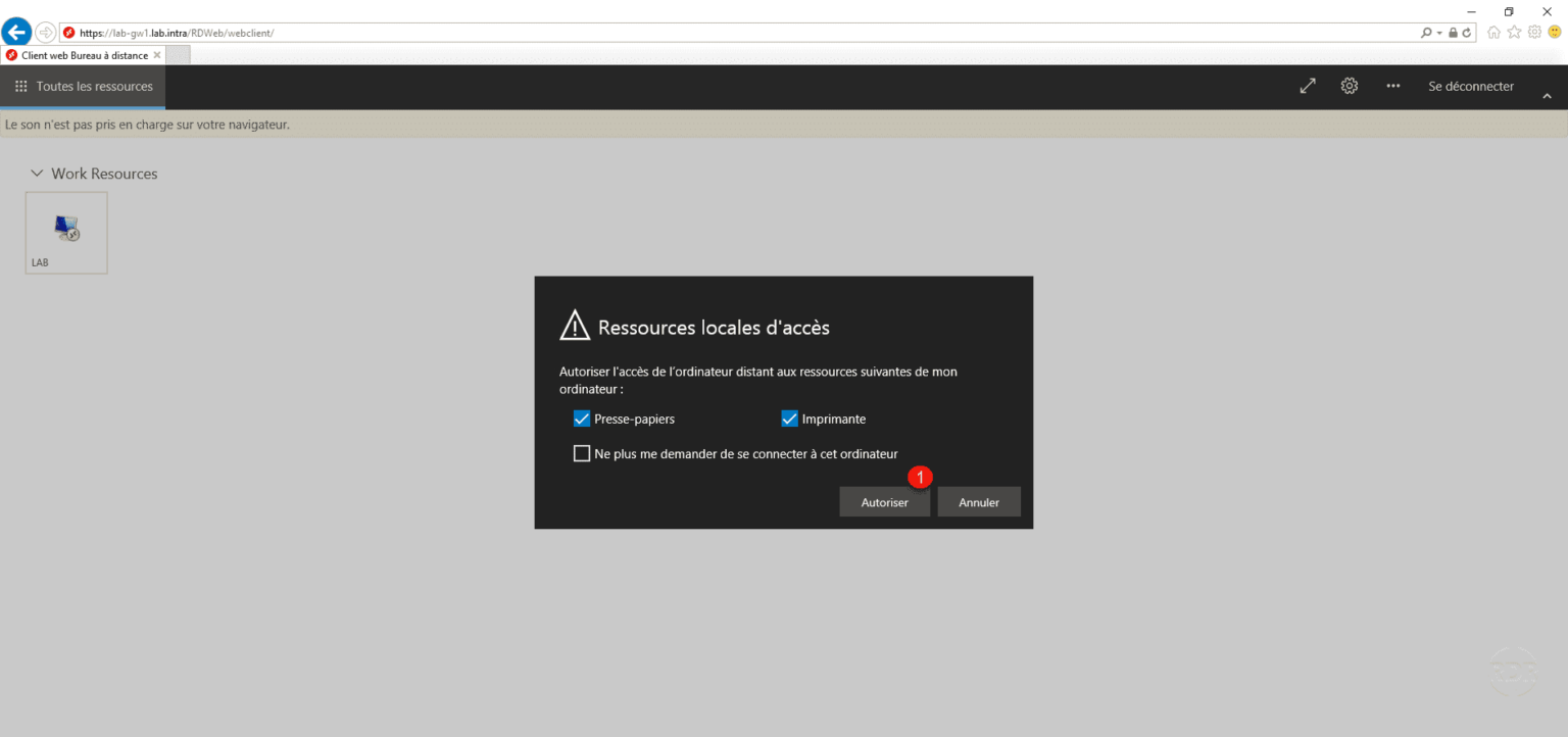 HTML5 client for Microsoft Remote Desktop Service - RDR-IT