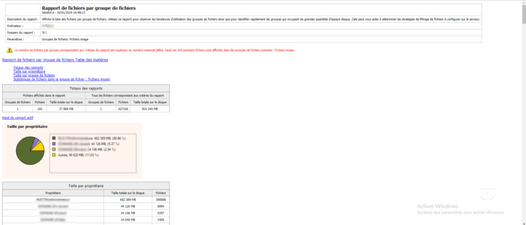 Windows File Server: Storage Usage Report