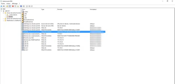 IPv6 record