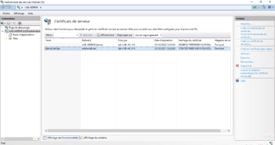 IIS certificate installed