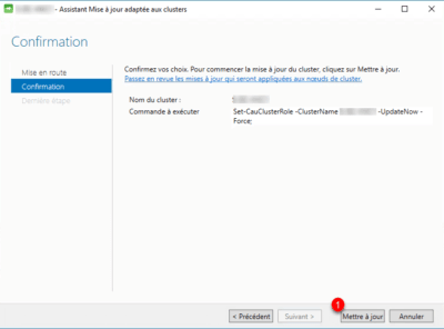 Confirm install update on cluster Windows Server