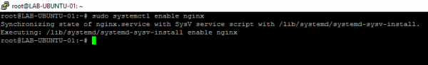 sudo systemctl enable nginx