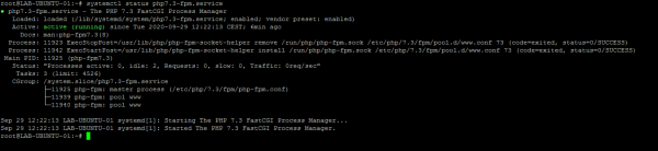 systemclt status php7.3-fpm