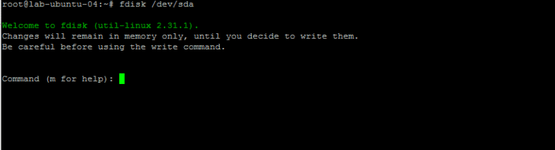 Linux: extend a partition - RDR-IT