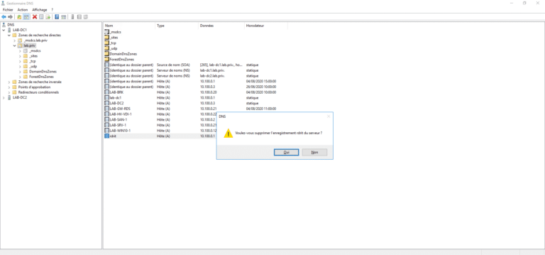 DNS: delete a record on Windows Server