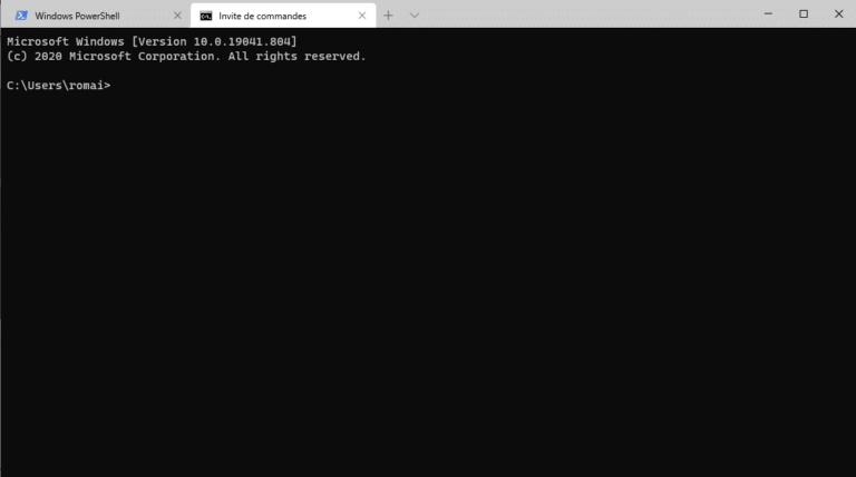Windows 10: install Windows Terminal