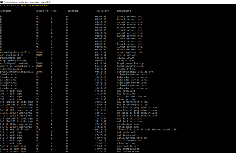 Manage the DNS cache on Windows Server