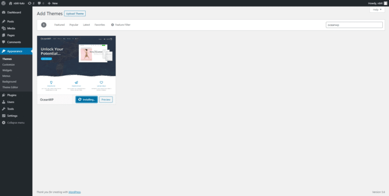 WordPress: install a theme