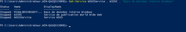 Check WSUS services