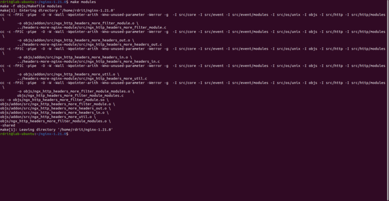 Nginx: compile an external module