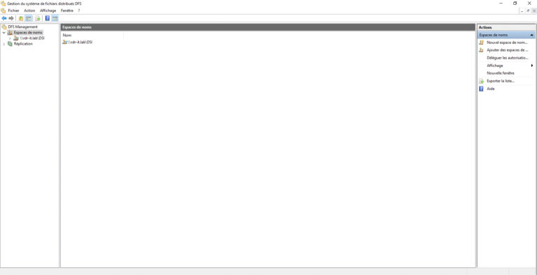 DFS: delete a namespace on Windows Server