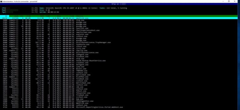 NTop : compteur de performance en ligne de commande sur Windows