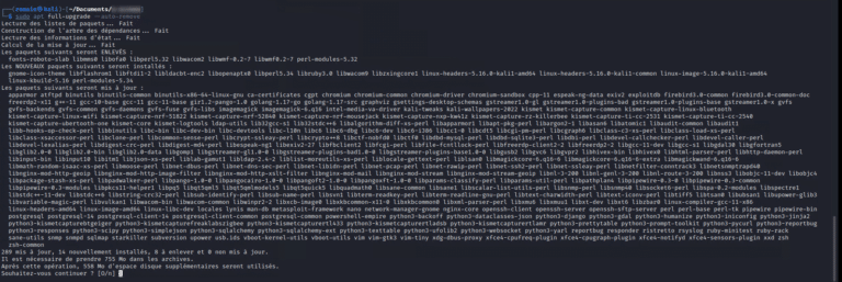 Mettre à jour Kali Linux avec des dépendances de paquets
