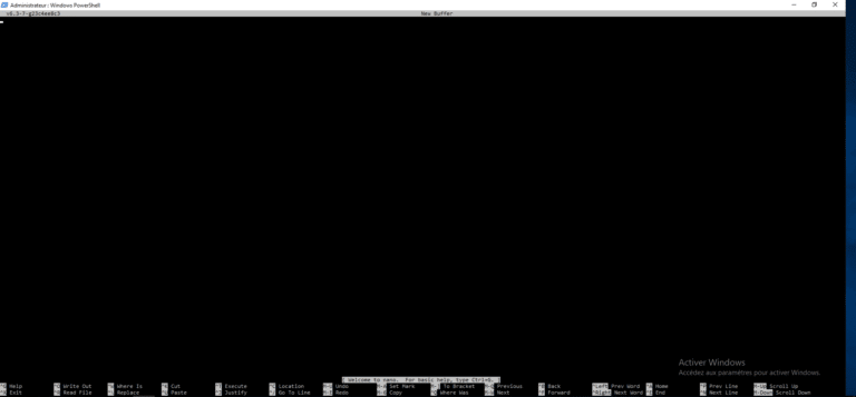 Install nano on Windows