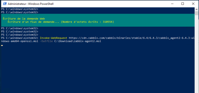 PowerShell: download a file in HTTP, HTTPS