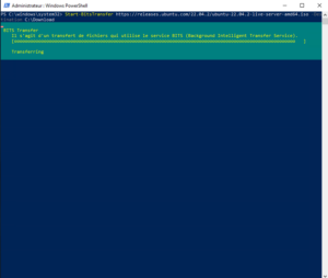 PowerShell: download a file in HTTP, HTTPS - RDR-IT