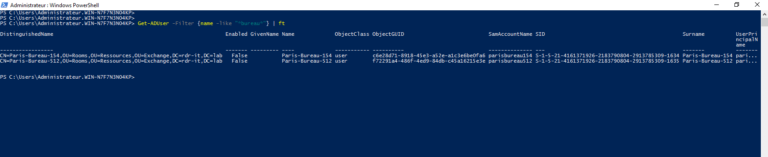 Active Directory: Perform a PowerShell search with a wildcard character ...