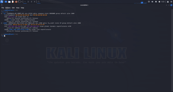 kali - ip a