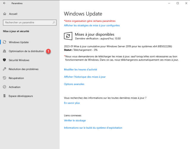 Windows Update : Optimisation de la distribution des mises à jour