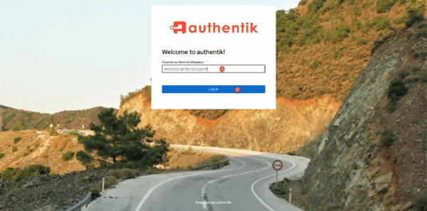 Authentik - login form