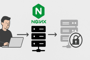 Nginx reverse proxy : ignorer la vérification SSL du backend