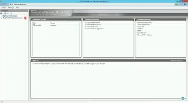 Console IIS
