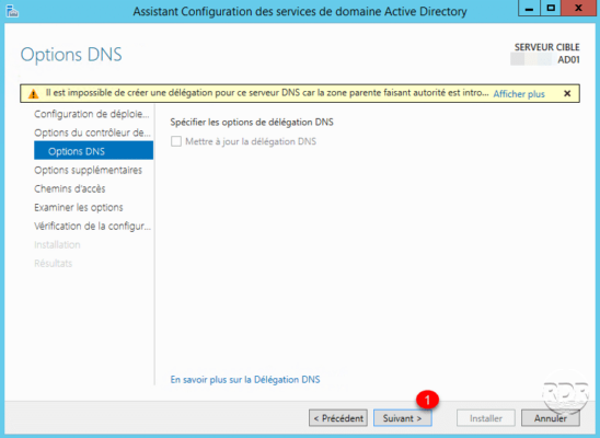 Option DNS