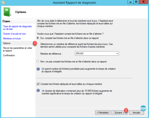 Options du rapport